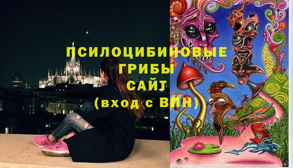 spice Арсеньев