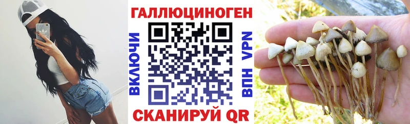 купить цена Облучье Псилоцибиновые грибы ЛСД